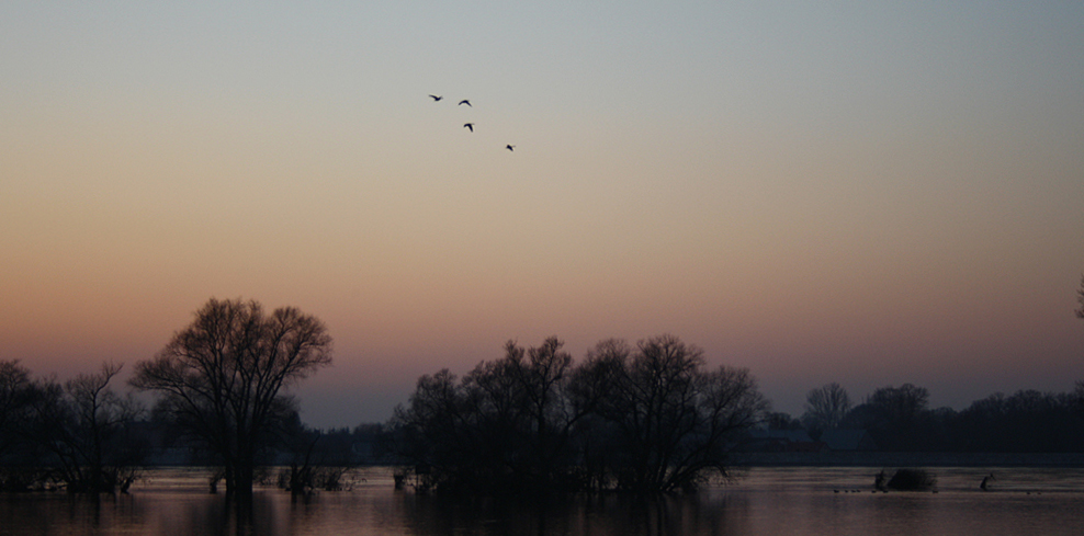 Am Fluss