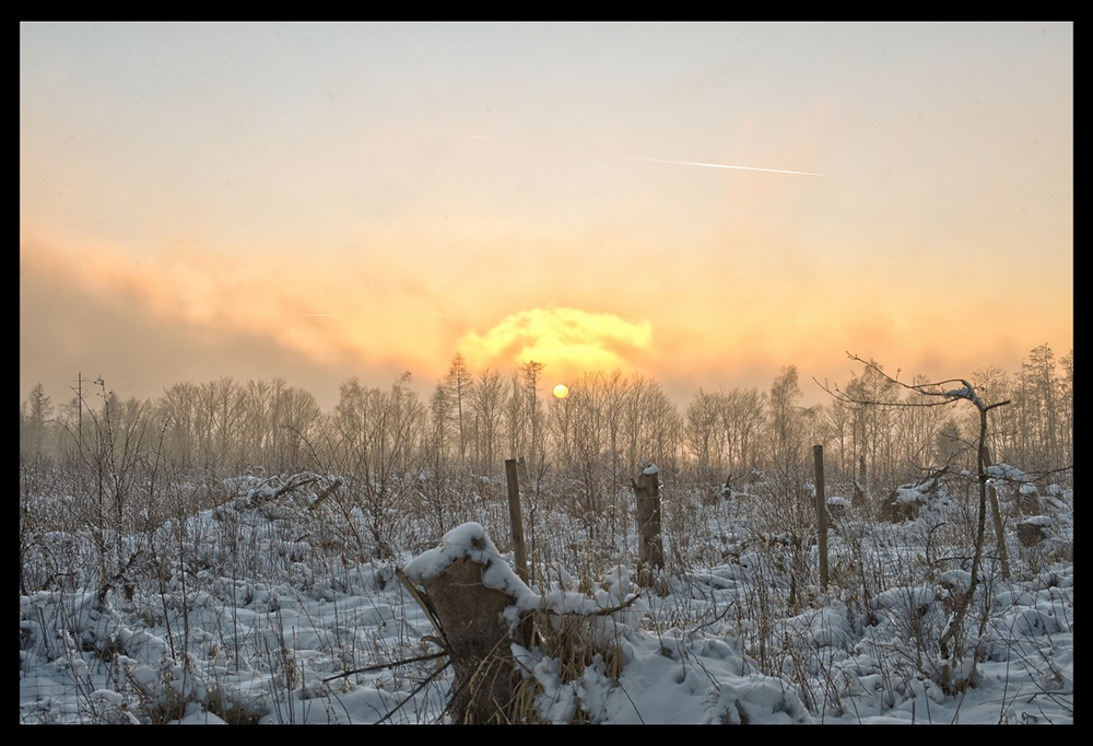 Sonnenuntergang an einem Wintertag am hohen Gras in Kassel