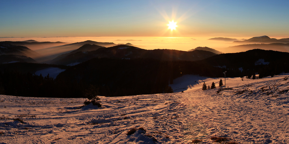 Nebelstimmung im Hochschwarzwald