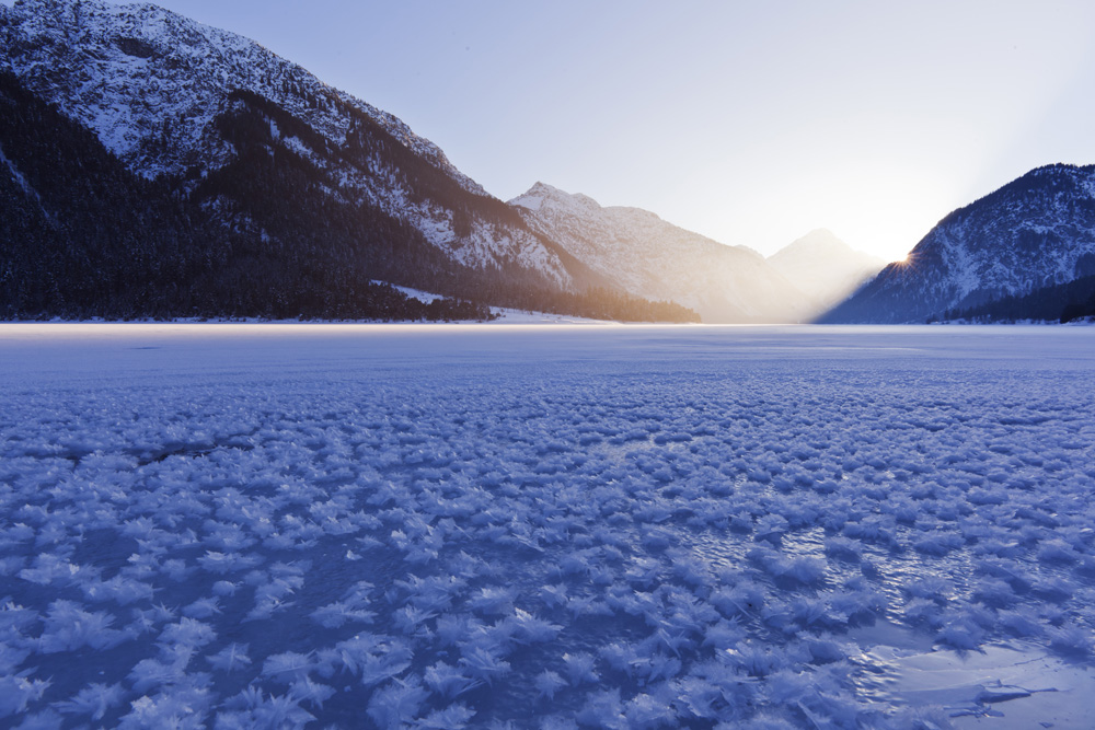 Plansee
