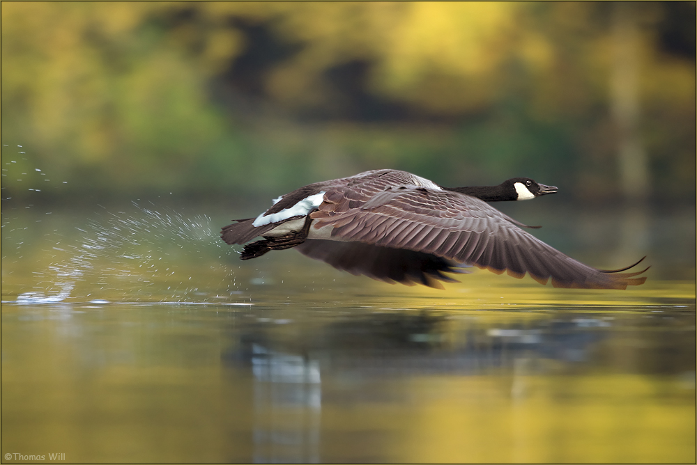 [ Take off ]