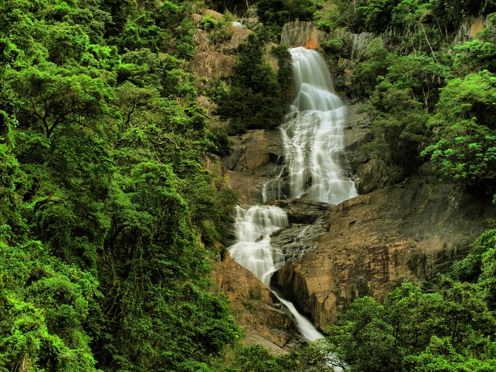 Kleiner Wasserfall im Regenwald