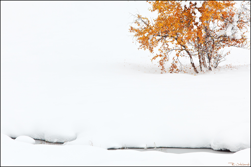 Farben im Schnee