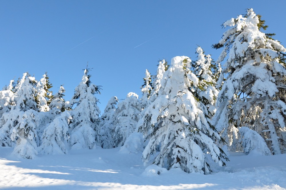 Fichtelberg Winter 2011