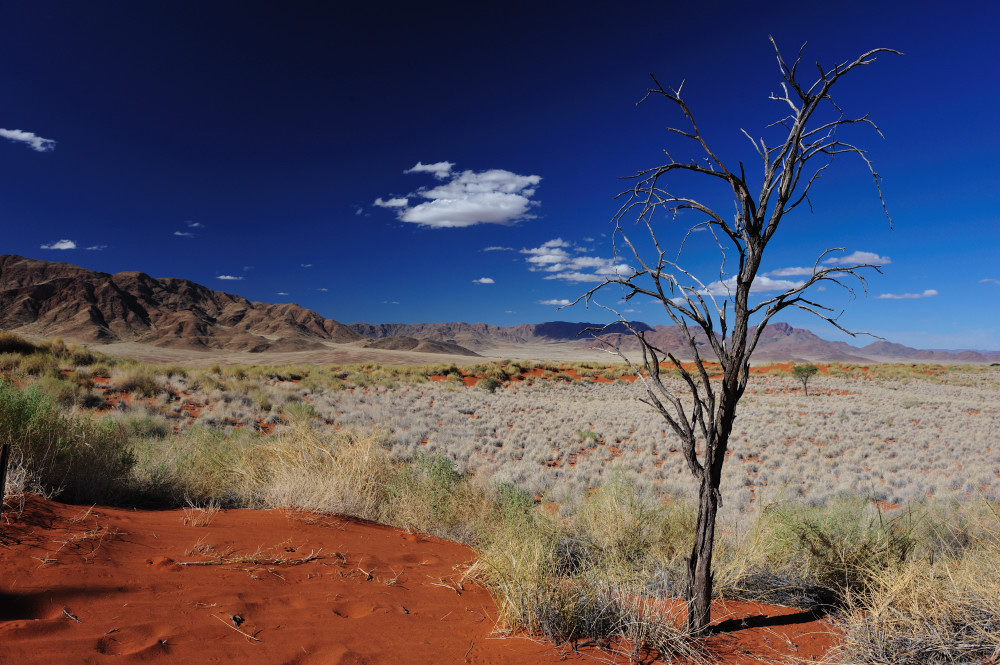 Namib Rand Nature Reserve Namibia Forum Fur Naturfotografen