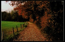 Herbstweg ND