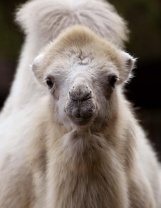 Kleines Blondinchen !