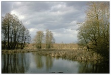 Am Herrensee