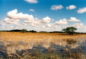 The Everglades ND