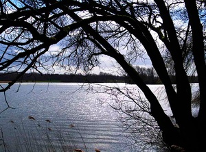 Morgenstimmung am See ND