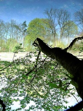 Hainweiher Bamberg ND