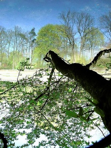 Hainweiher Bamberg ND