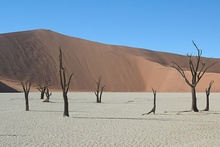 Death Vlei