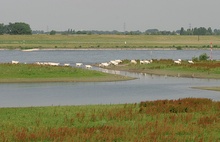 Schnell  weg!!! Die Naturfotografen kommen