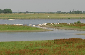 Schnell  weg!!! Die Naturfotografen kommen