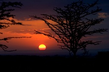 Sonnenuntergang Masai Mara