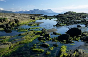 Strand, norwegisch