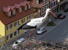 Weißstorch auf seinem Horst ND