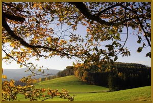 herbst, EBV