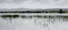 Niger