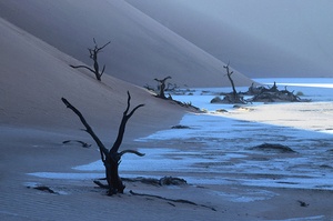 Dead Vlei