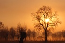 Morgens am Niederrhein