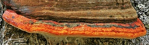 Farbe und Form...
