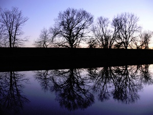 Abenddämmerung ND