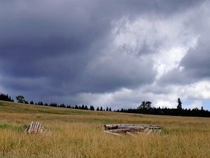 Vor dem Regen