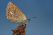 Schöner blauer Himmel.....