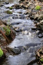 Krebsbach im Harz