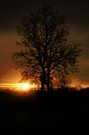 sonnenaufgang
