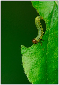 Sie hat sich viel vorgenommen...