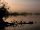 Abend an der Elbe - ND