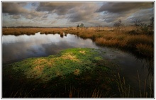 Sturm überm Moor