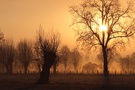 Morgens am Niederrhein