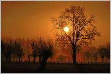 Morgenstimmung am Niederrhein