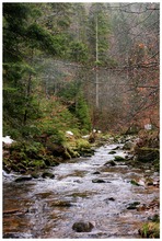 Regentag im Schwarzwald