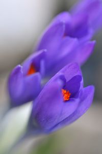 Der Sonne zugewandt !