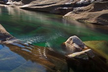 Grüne Wasser