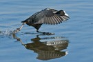 der Wasserlauf