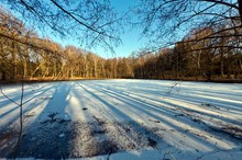 Waldteich im Vorfrühling