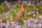 Der Frühling ist erwacht…