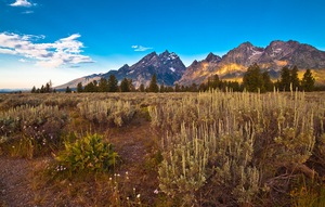 Grand Teton