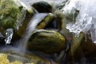 Algen Wasser und Eis