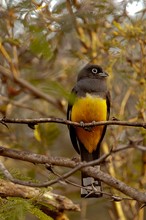 Costa Rica, ein Traumland für FotografInnen