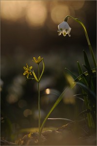 ~ combinazione (2) ~