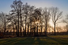 Vorfrühling