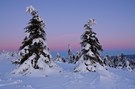 Tschüss Winter