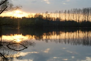 Abend an der Bislicher Insel